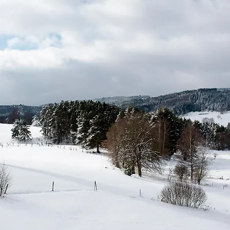 Oda ve Kahvaltı Le Moulin Malin *
